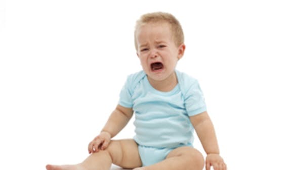 Traumer_w300__c10741cb83c91bf03c02cd25a7e04a8e